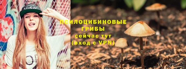 спиды Беломорск
