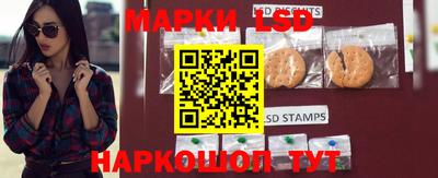 mdpv Краснознаменск