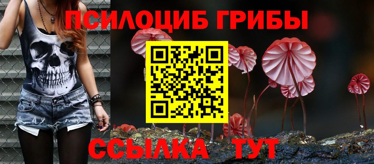 Галлюциногенные грибы MAGIC MUSHROOMS  Вход с VPN  Армавир 